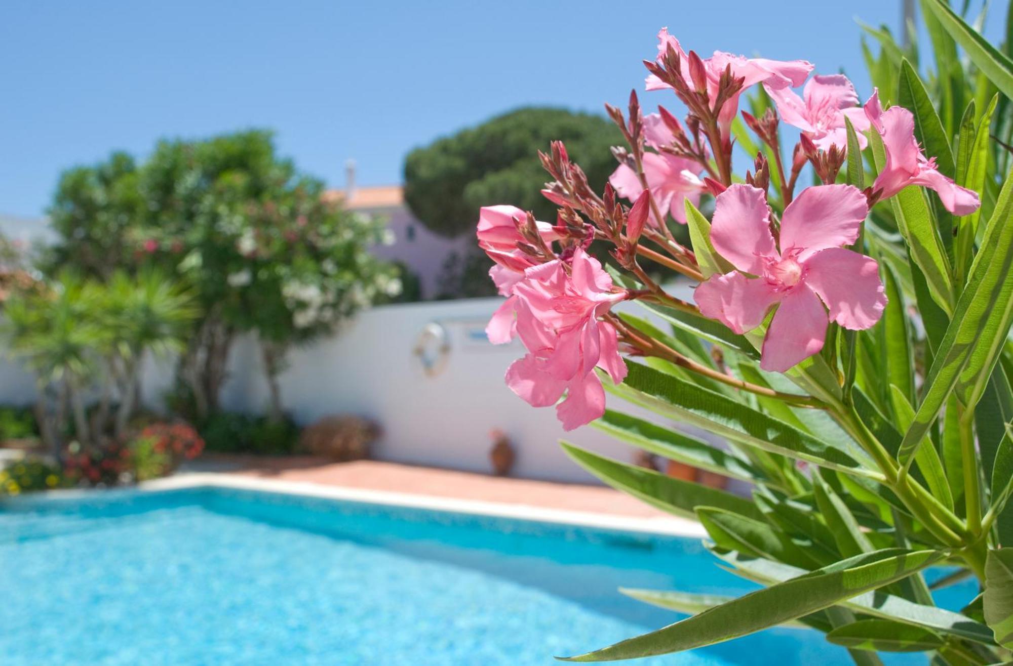 Apartamentos Turisticos Sollagos Luaran gambar